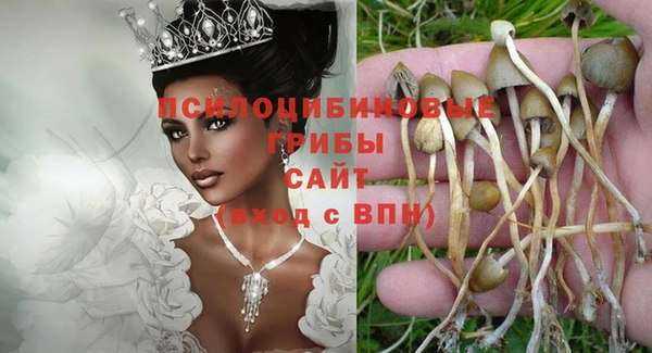 марихуана Заводоуковск