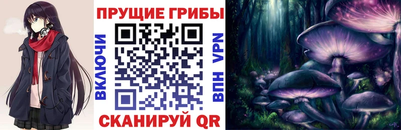 Купить закладки  Ядрин  Галлюциногенные грибы ЛСД 